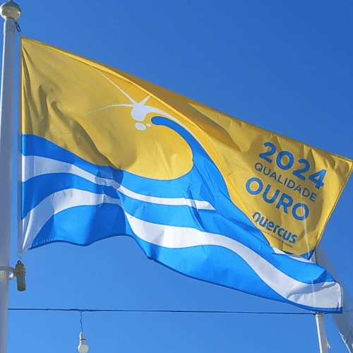 bandeira 2024 neutra mastro bandeira 2024 neutra mastro